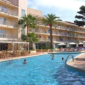 O7 Alondra Cala Ratjada (Mallorca)